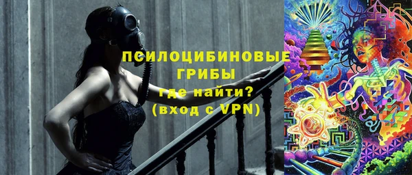 стафф Аркадак