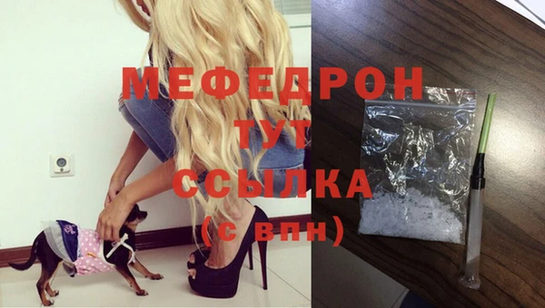 стафф Аркадак