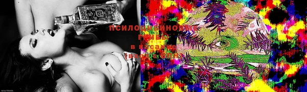 стафф Аркадак