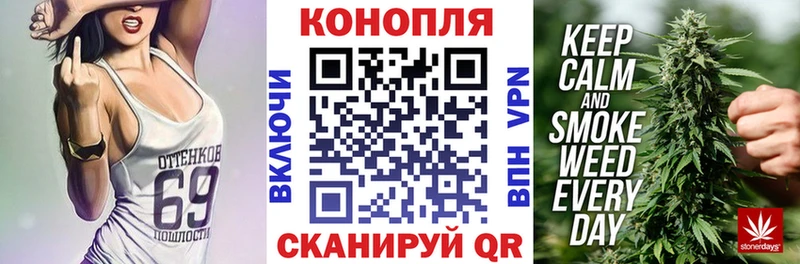 Бошки Шишки планчик Рославль